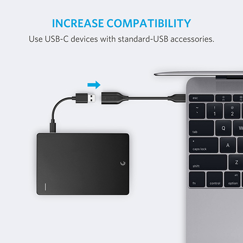 PowerLine USB-C to USB 3.1 Adapter